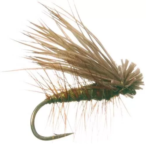 6 Elk Hair Caddis Olive Dry Fly Fishing Flies - Sizes #12, #14, #16