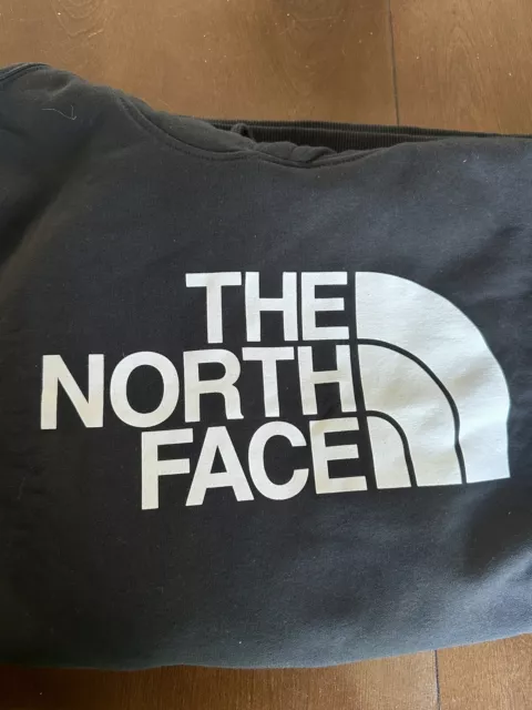 The North Face Logo Half Dome Boxy Pullover Heavy Hoodie Sweatshirt Mens Large 2