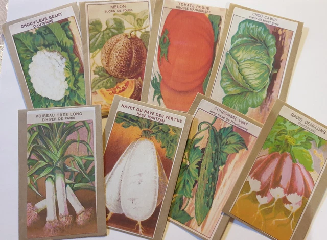 Calendrier De L'Avent Jardin 24 Paquets Semences Graines Légumes Anciens