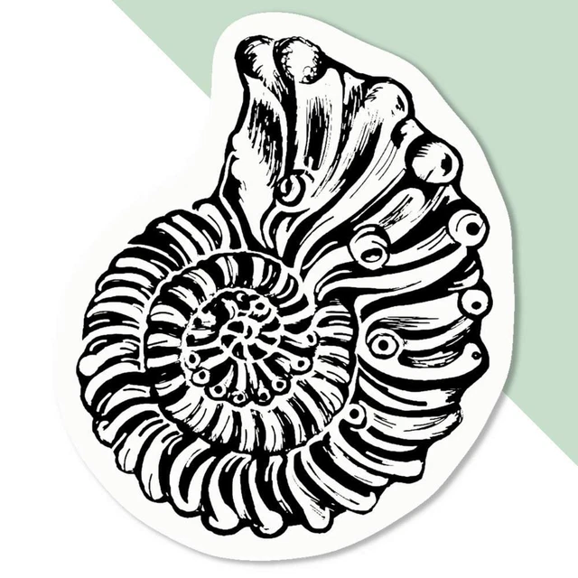 'Ammonite' Decal Stickers (DW039026)
