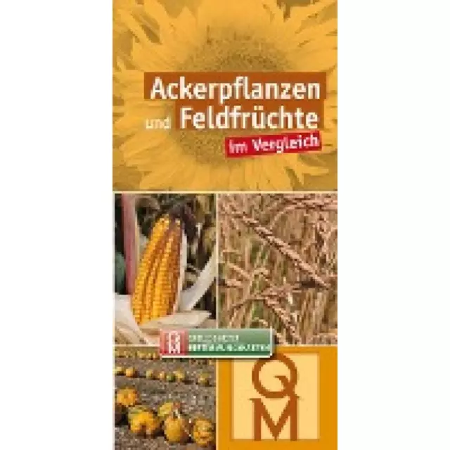 Ackerpflanzen und Feldfrüchte im Vergleich - 10er-Set