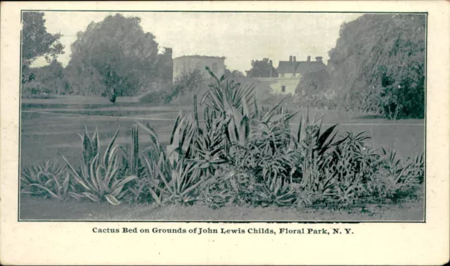 Postcard: Cactus Bed on Grounds of John Lewis Childs, Floral Park, N.