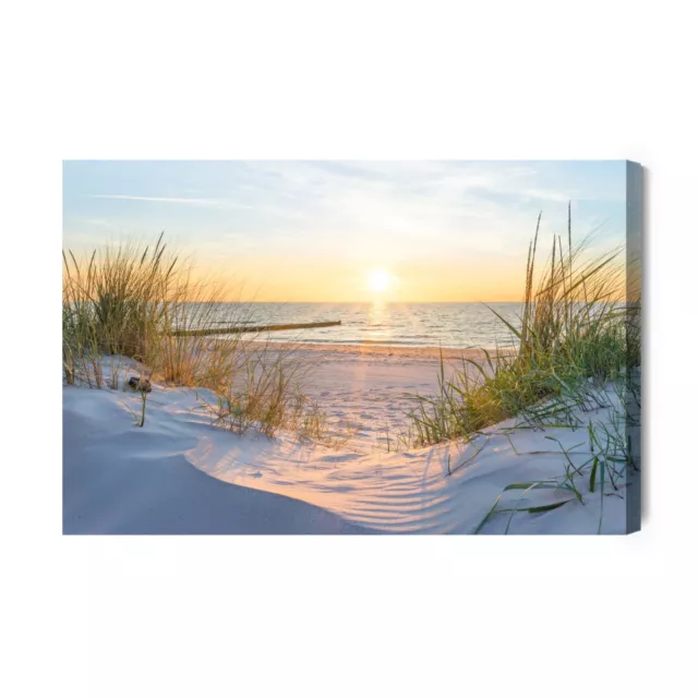 CANVAS Leinwand Ostsee Strand Meer Dünen Wasser Sand Natur Bilder XXL Wandbild