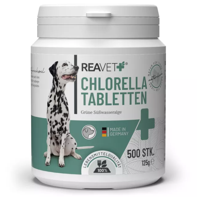 REAVET Chlorella Tabletten für Hunde 500 Stück, Hochdosiert Lebensmittelqualität