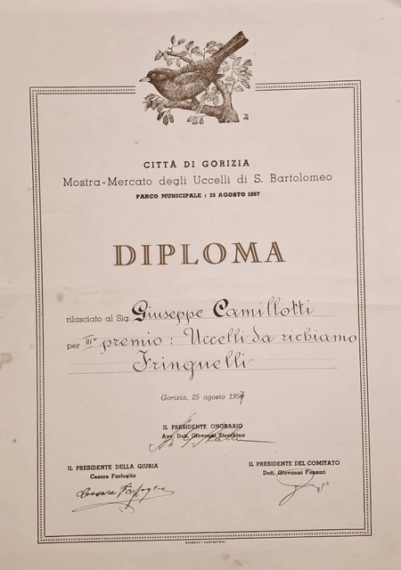 Altro, Collezionismo cartaceo, Collezionismo - PicClick IT