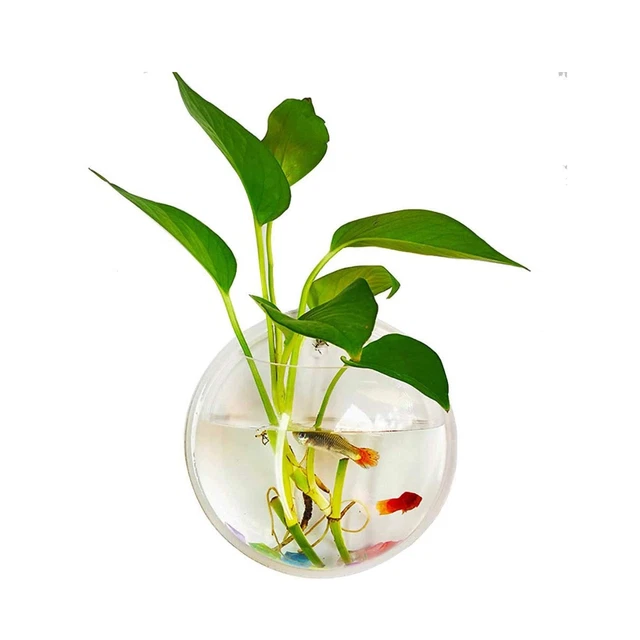 kathson Wall Fish Bowl Acrylic Hanging Aquarium Wall Mounted Bubble Betta Fis...