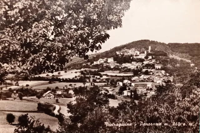 Cartolina - Pietragavina - Panorama - 1960 ca.