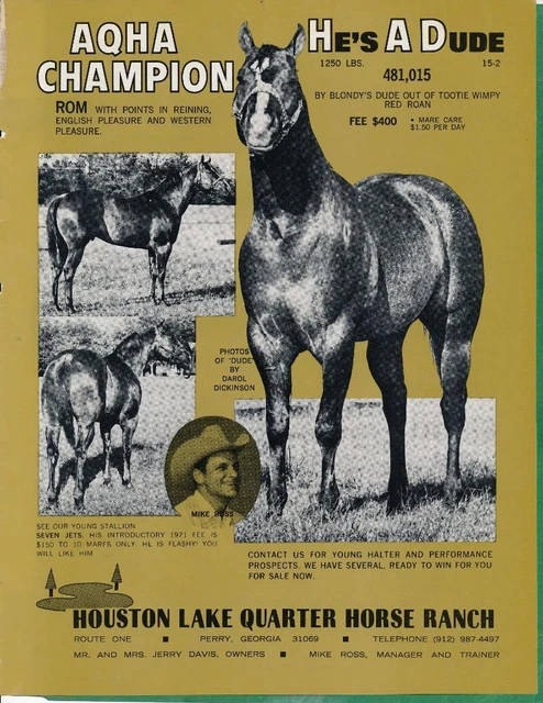 Magazine Ad - 1971 - Houston Lake Quarter Horse Ranch, Perry, GA - HE'S A DUDE