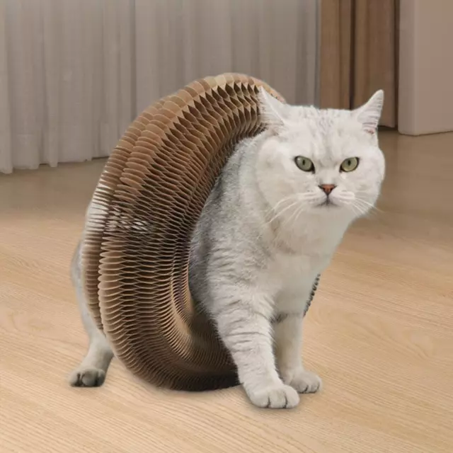 Katzenkratzbrett faltbar Katzenschleifen für Kätzchen verschleißfest Katzenspielzeug