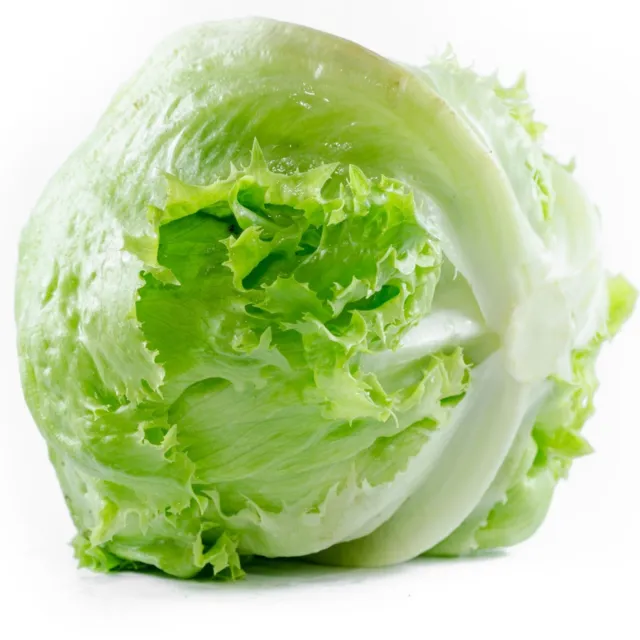 Iceberg Lettuce - Seeds - Organic - Non Gmo - Heirloom Seeds – Vegetable Seeds