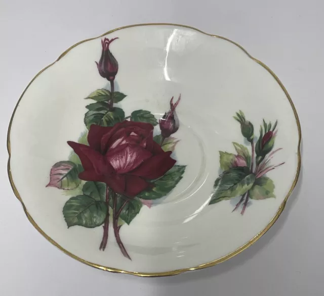 Paragon Fine Bone China - Harry Wheatcroft Roses - Grand Gala - Coffee Saucer