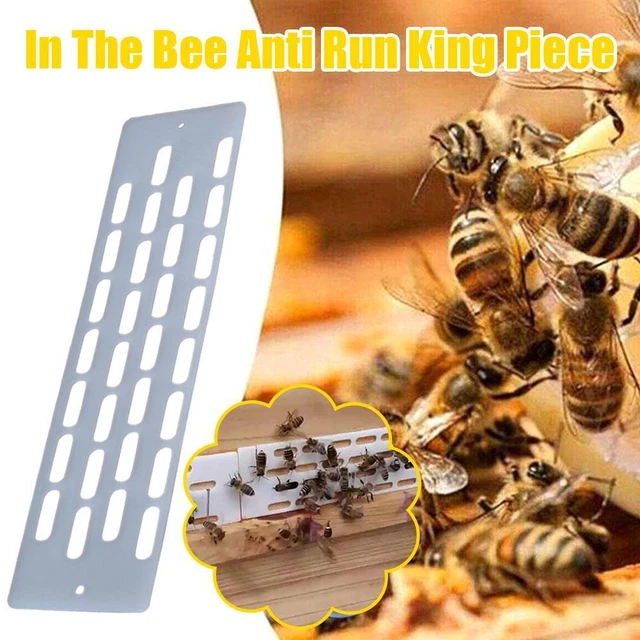 20X Beekeeping Tool Anti Escape Bees Queen Plastic Spacer Equipment Hive P6W4