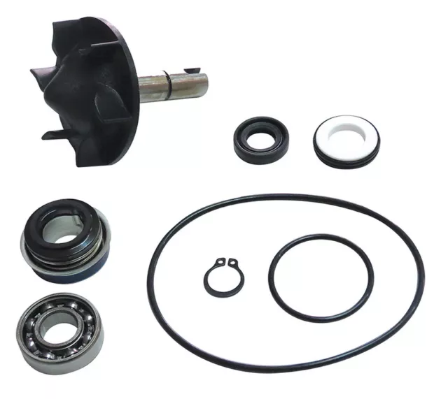 Kit révision pompe à eau pour YAMAHA TMAX 530 T-MAX 500 à partir de 2008 NEUF