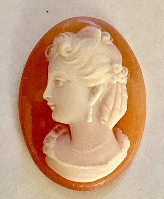 Ancien Camée Coquillage Profil à Sertir / Antique Coral Shell Cameo
