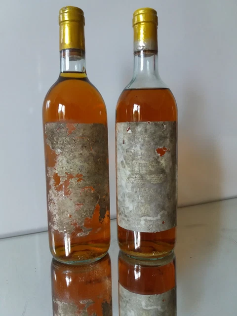 X2 Sauternes Château Haut-Bergeron 1981 Blanc Liquoreux - Jouxtant Château Yquem