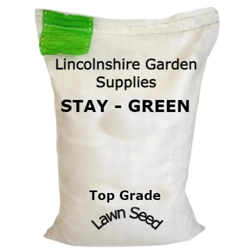 GRASS SEED. STAY GREEN Lawn Stays Green in most Weathers £4.55 PicClick UK