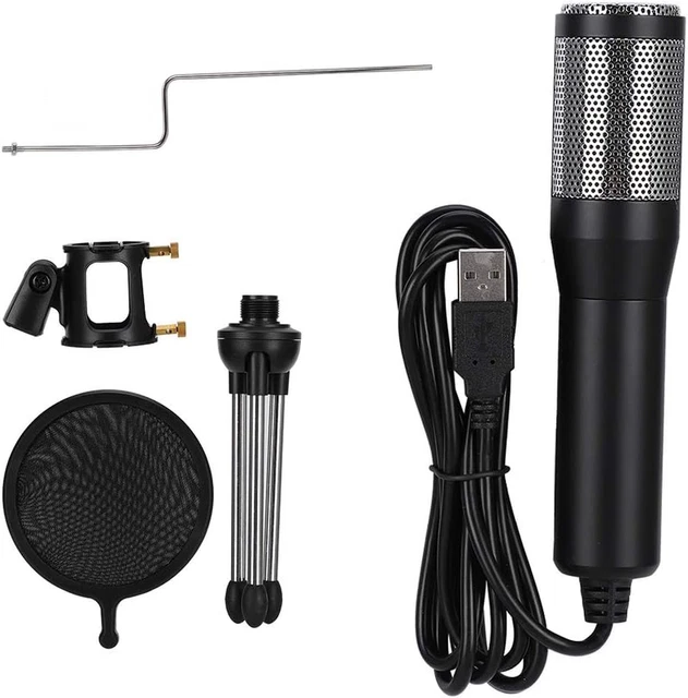 Microphone Arirang 21 CN BG-9.1 - Parfait état, Avec Câble Et Boîte D'origine