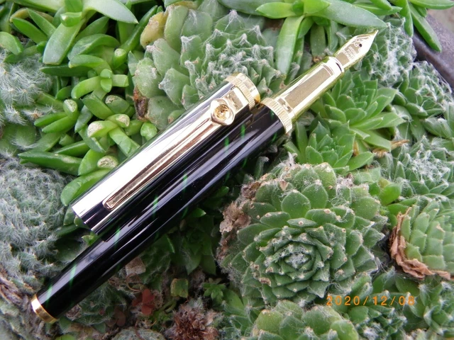Stylo Plume Iridium Corps Acier Lisse Noir - Neuf Jamais Servi, Recharge Fournie