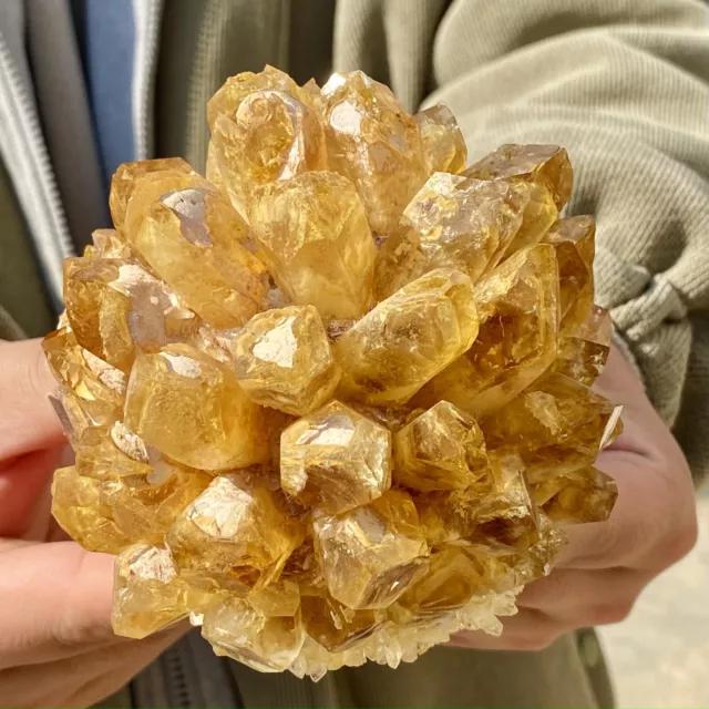 1.754LB New Find Yellow Phantom Quartz Crystal Cluster Mineral Specimen Healing
