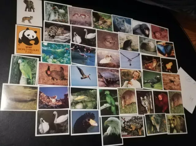 Seltene WWF Sammelsticker: 41 Sticker, Panini, keine doppelten (Konvolut 11)