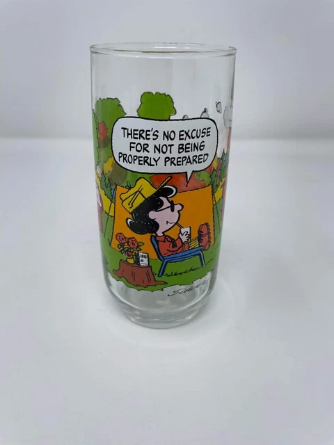 McDonalds Camp Snoopy Collection Lucy Woodstock Sally Brown Franklin Glass VTG