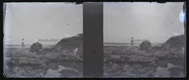 Paysage marin Rochers c1930 Photo NEGATIVE Stereo Plaque de Verre Vintage V39n
