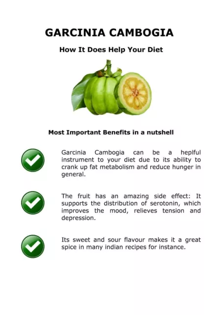 Garcinia Capsules Cambogia Pure Weight Loss Diet 95% HCA Extract Fat Burn Pills 2