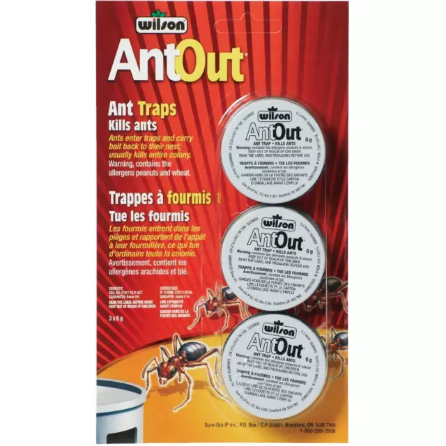 AntOut Ant Traps - 3 Pack