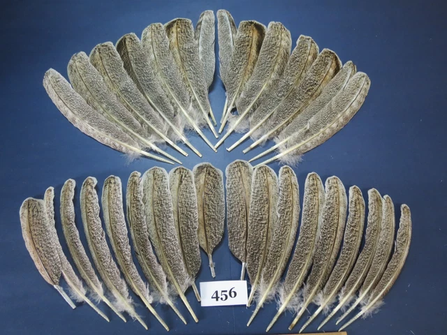 32 piezas plumas de ala de pavo, plumas naturales, plumas exóticas, atadura de mosca, (456)
