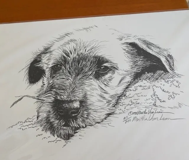 Irish Wolfhound Head Study of a Puppy Ltd Edition Print 11x17 By Van Loan