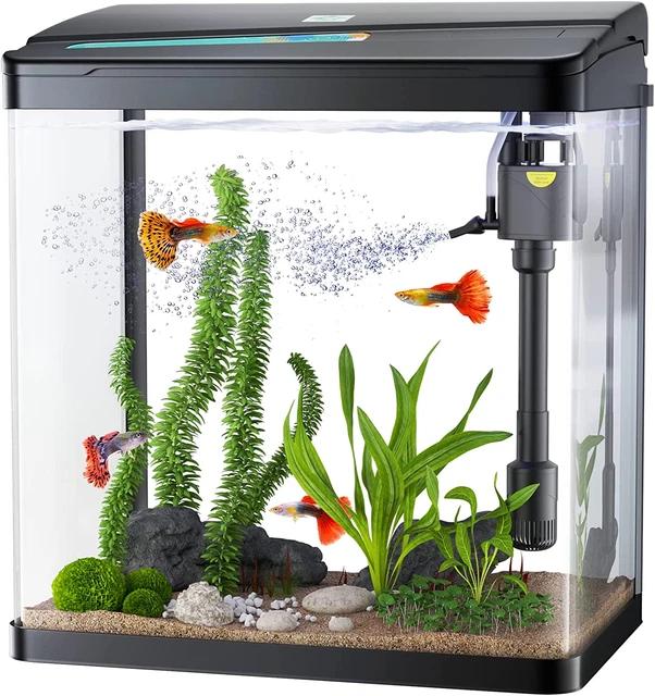 Betta Fish Tank, 3 Gallon Glass Aquarium, 3 in 1 Fish Tank with Filter and Light
