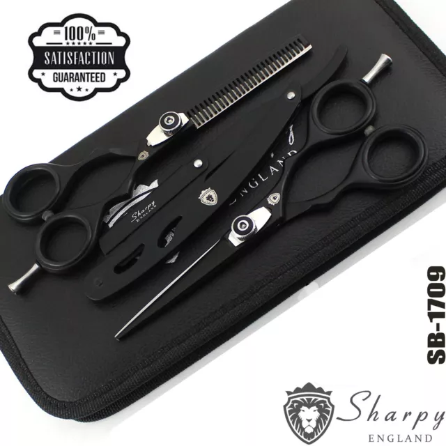 Professional Hair Cutting Thinning Scissors Set Shears Barber Salon Hairdressing