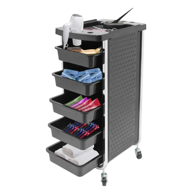 Salon Cart Fit Hair Stylist with Wheels, 5 Drawers and Dryer Holder Barber Store