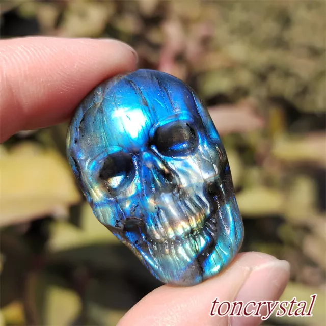 Natural labradorite Skull Carved Quartz Crystal Skull Reiki Healing Gift 1PC