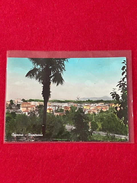 Cartolina- Lazio- Frosinone Ceprano- Panorama