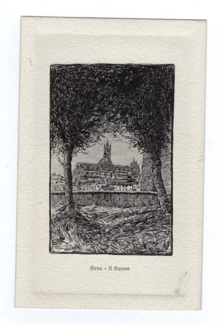Siena  Il  Duomo  Cartolina Nr 25   Ill.  Petrucci  Ediz.giuntini Nv