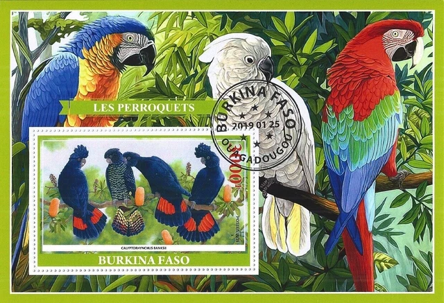 Bloquer les perroquets d'oiseaux usagés