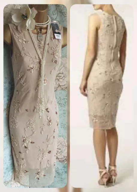 dorothy phase Eight beige nude lace bead occasion wedding mother Guest dress 8 3