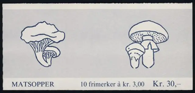 NORWEGEN - Markenheftchen , Booklet , Michel:  13