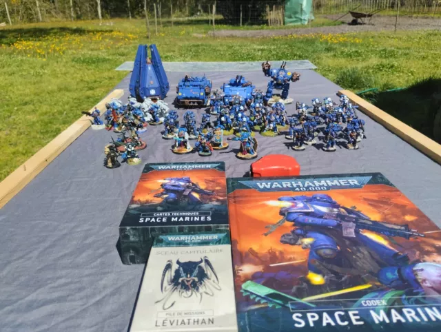 Warhammer 40K, Armée Ultramarines Complète et peinte (Avec Codex V10)