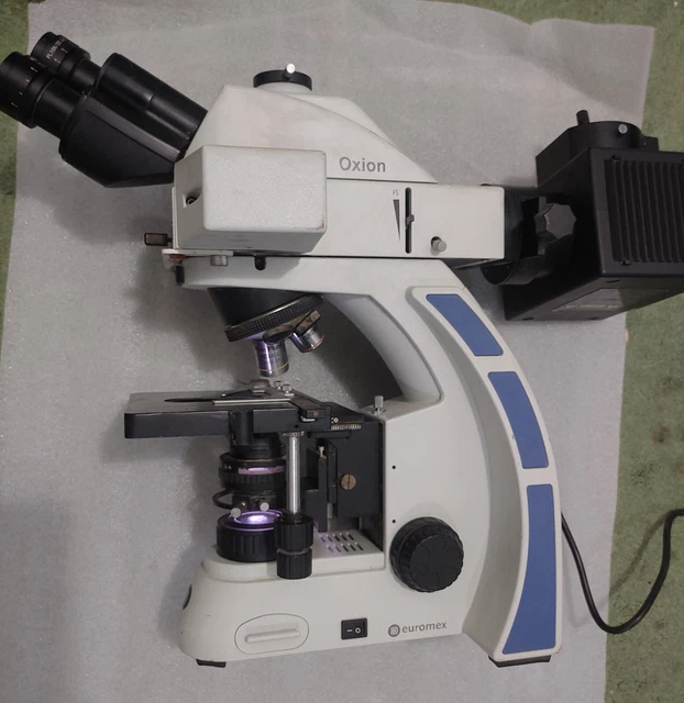 Euromex Microscope binocular iScope OX. AE.3199  Oxion , Fluarex, oil