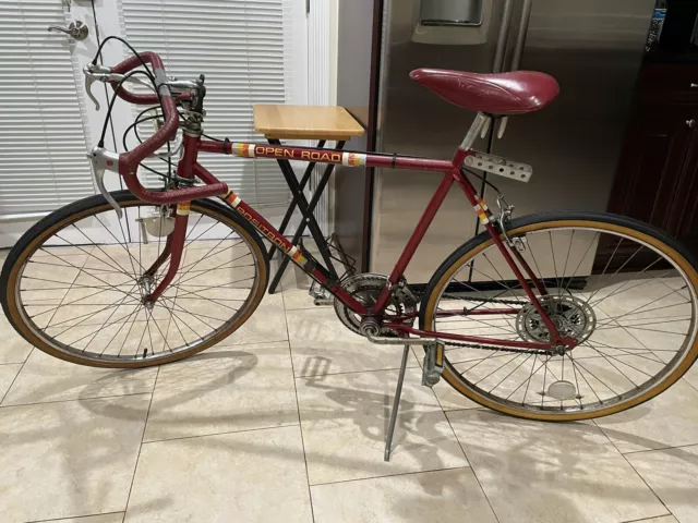 VINTAGE 1980S OPEN Road Old School BMX Bike survivor bicycle
