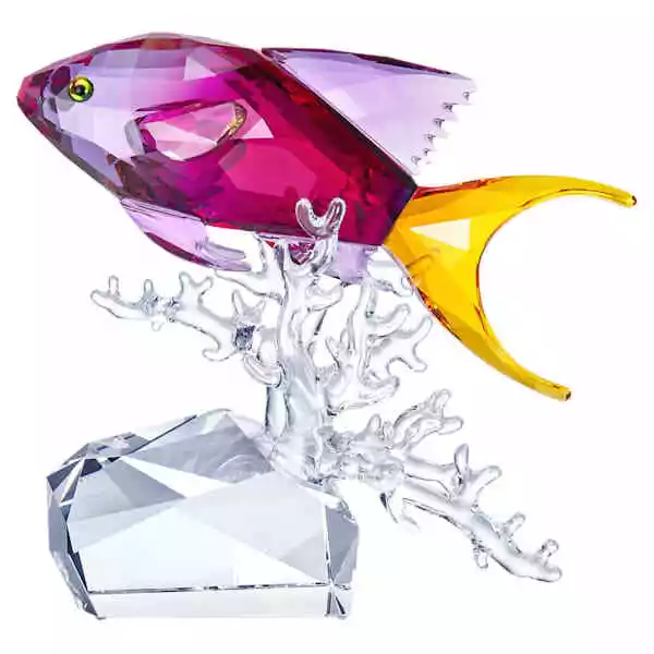 Swarovski Crystal Paradise Stunning "Anthias Fish" 5428651 Retired Bnib Freepost