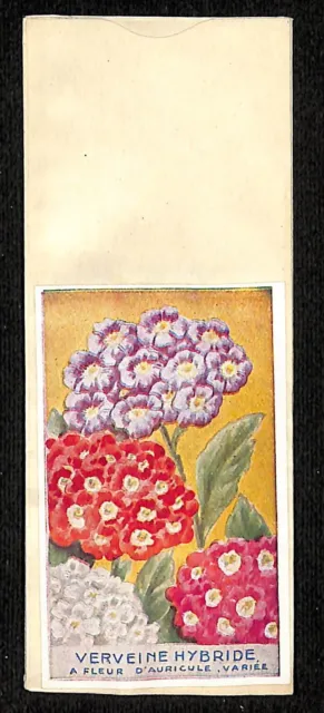 Verveine Hybride A Fleur D' Auricule Variée French Flower Seed Packet c1900-1920