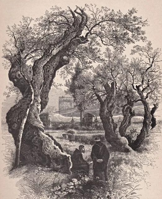 Israel, Gat Schmanim, Gethsemane - Gesamtansicht - Stich, Holzstich 1888 2