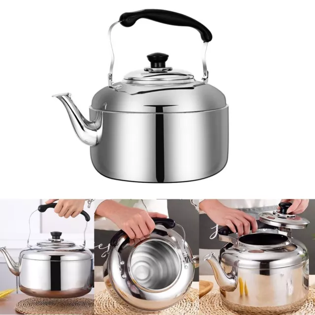  Tea Kettle Stainless Steel Teapot 2L Long Gooseneck Coffee Pot  Pour Over Tea Pot Mouth Pour Spout with Strainer for Stove Top  Induction(2.0L): Home & Kitchen