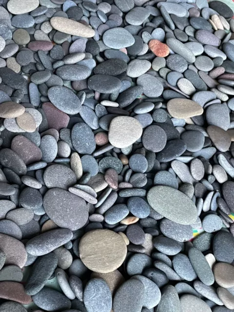 1.5kg Of Pebbles For Pebble Art, Crafts. Smooth Flat Pebbles Stones
