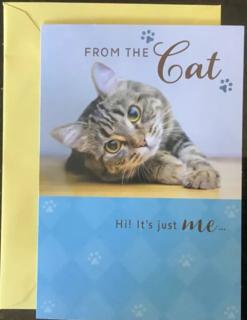 Happy Birthday From The Cat Card Hallmark Greeting Card