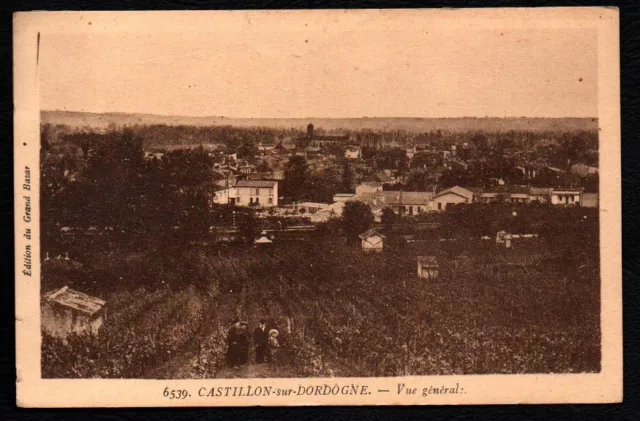 Cpa -- Castillon Sur Dordogne General View 725.D