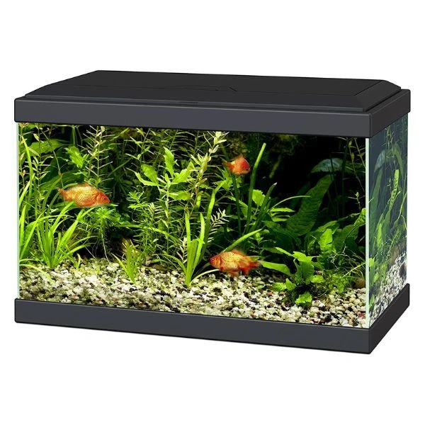 Ciano Aqua Aquarium 20 LED 30 Hex Lighting Hood Filter Beginner Glass Fish Tank 2